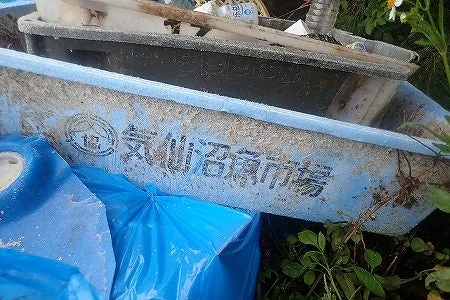 「気仙沼魚市場」と書かれた漂着物のプラスチック容器