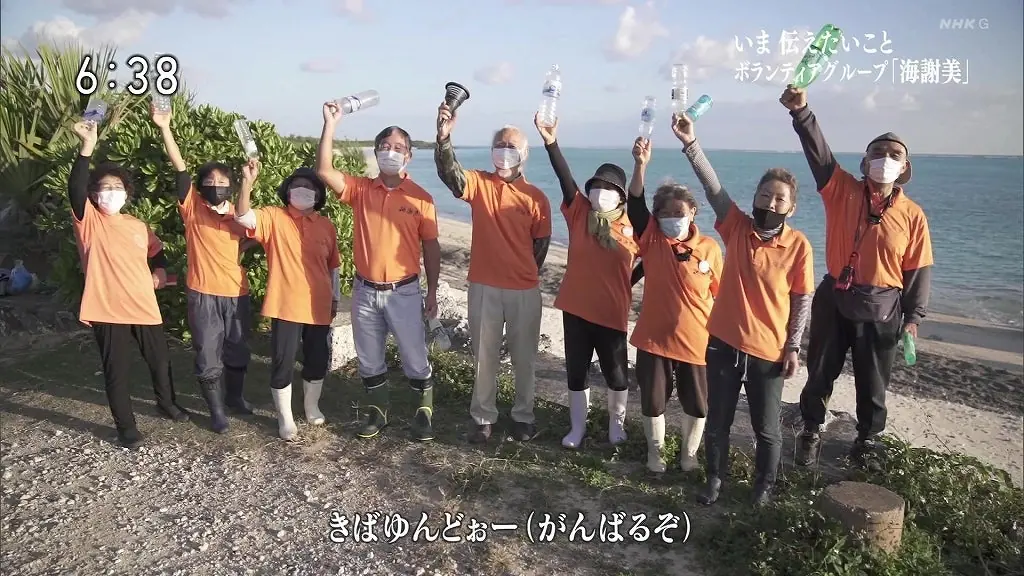 海岸を歩きながらごみを拾う参加者たち